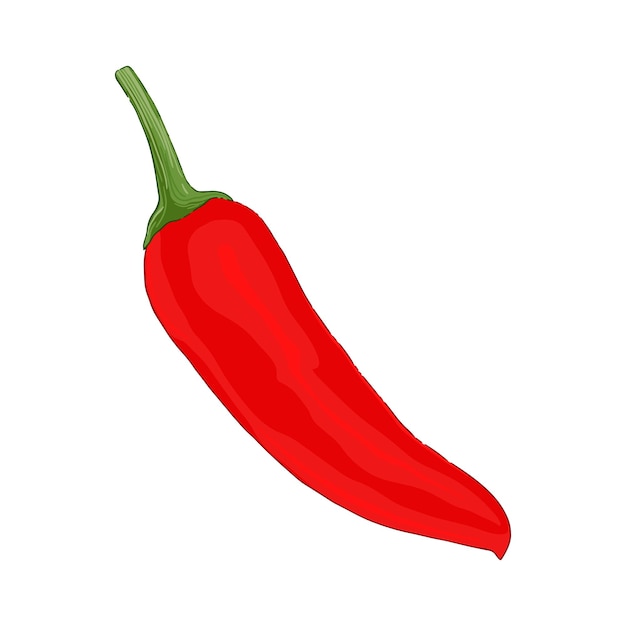 Hot chilli pepper illustration. Spice vegetable symbol - mexican food.