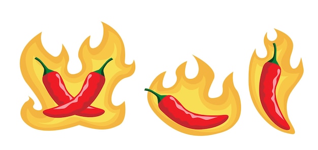 Hot chilli with fire vector illustration