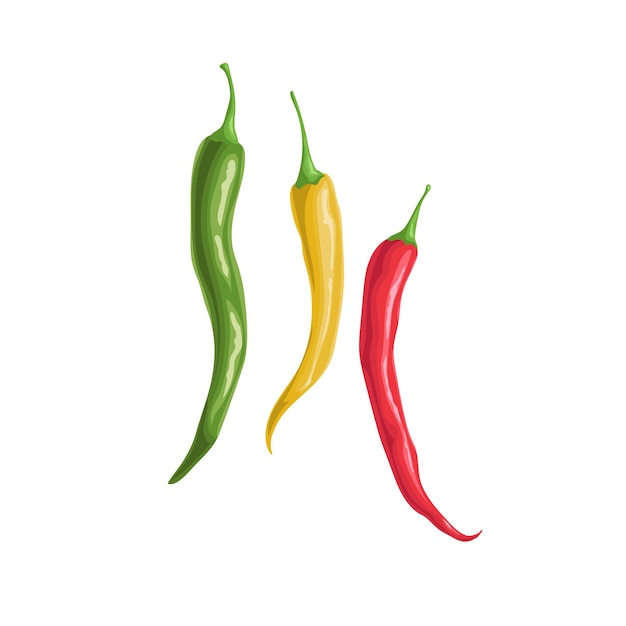 Hot different color chili peppers.  Flat cartoon design style.