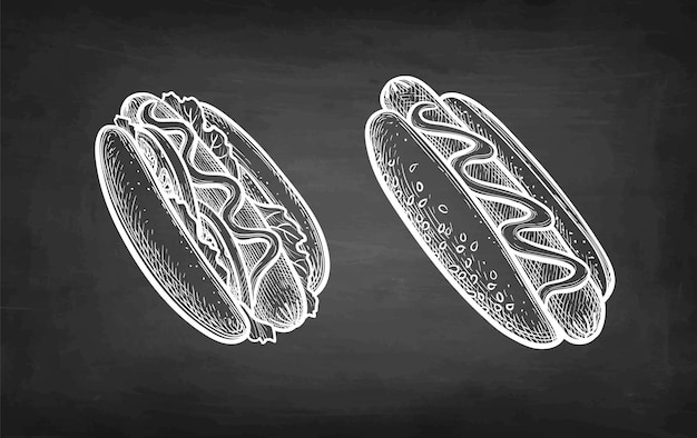 Hot dogs. Chalk sketch on blackboard background.