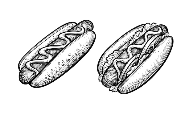 Hot dogs. Vintage style ink drawing.