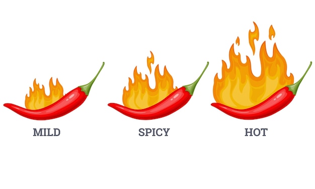 Hot spicy level labels Vector spicy food level emblems collection