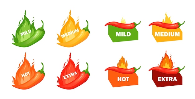 Hot spicy level with flame pepper Infographic design template with red hot chili pepperVector