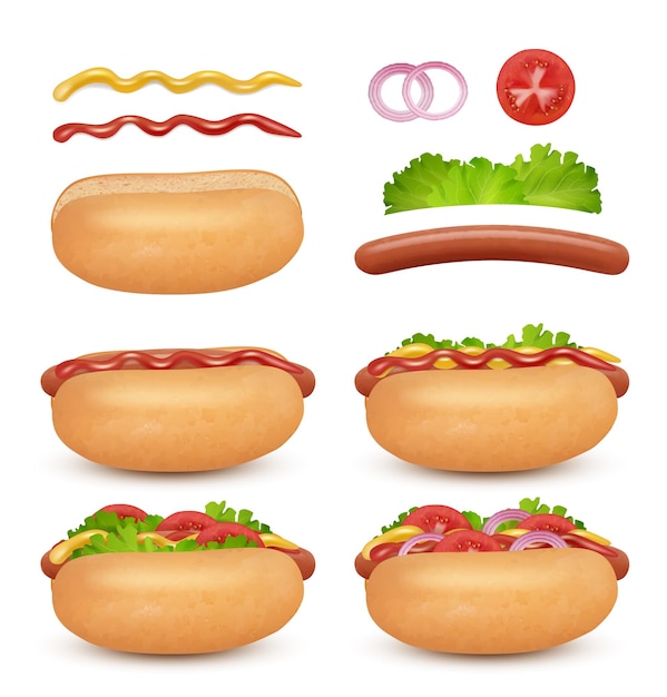 Hotdog realistic Sausages buns meals tomato sauce fast food hamburger ingredients decent vector illustrations