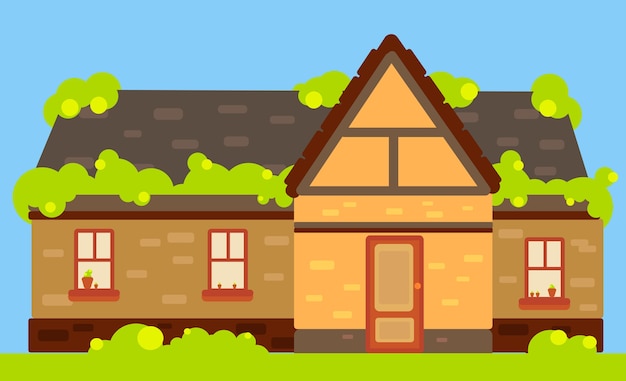 House front background vector illustration