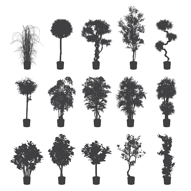 House and office plants silhouette set