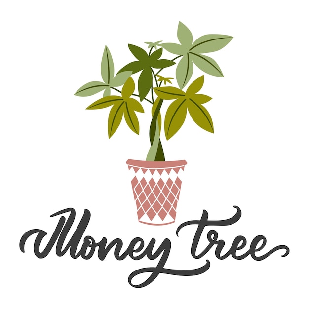 The house plant Money tree The lettering design and logo for flowers shops