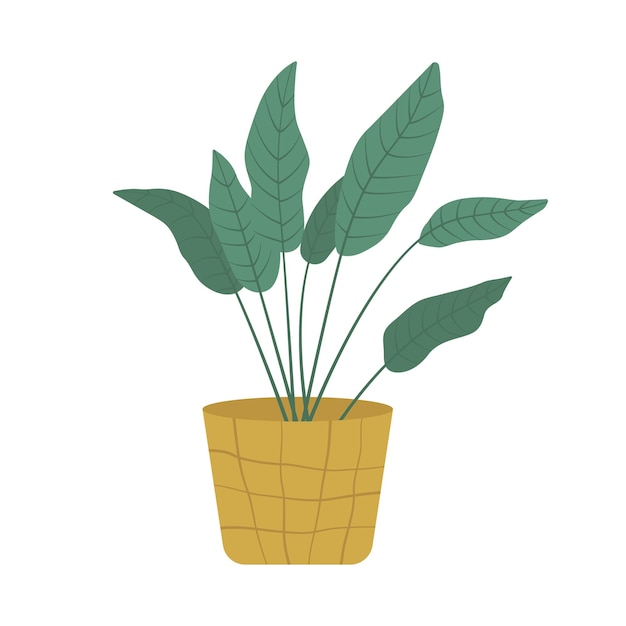 House plant in pot in flat style