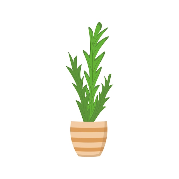 House plant in pot Hand drawn illustration