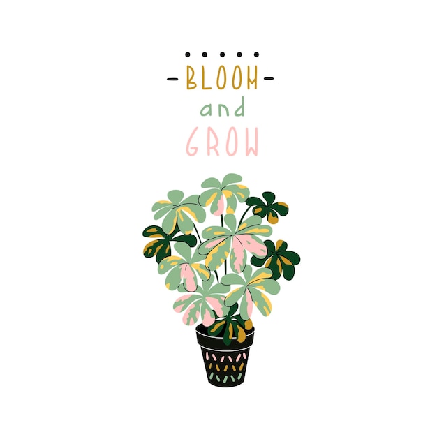 House plant in the pot Slogan Bloom and grow Love plants concept Urban jungle Hand drawing print design Flat style in vector illustration Isolated element