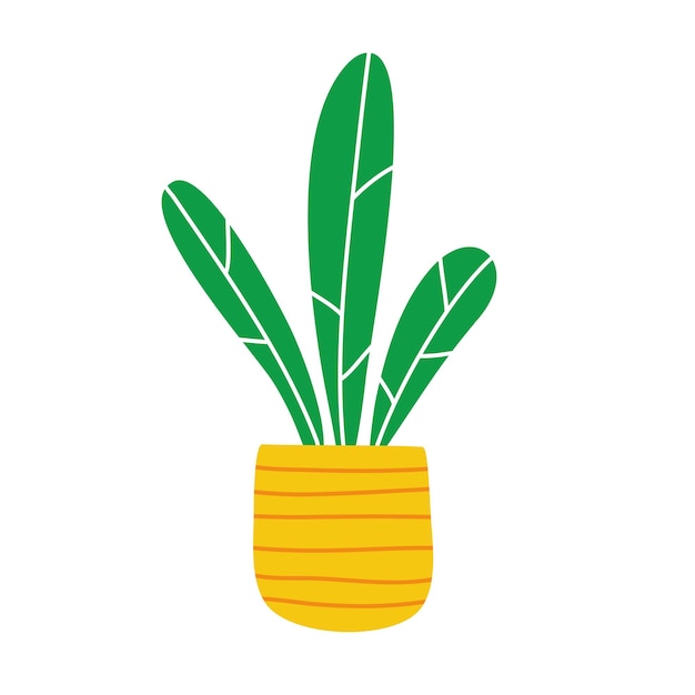 House plant Vector hand drawn illustration