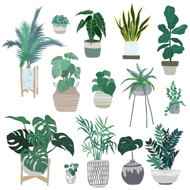 House plants in pots, trendy hand drawn  flat illustration, urban jungle design, tropical plants.