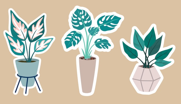 House plants stickers Set of hygge tropical patee succulent plants stickers Cozy lagom style collection of plants in cartoon style Hand draw vector bundle