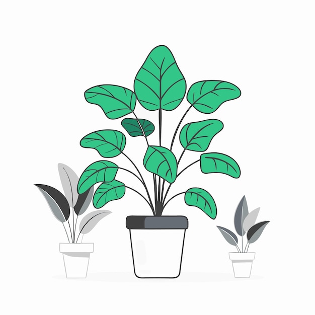 Houseplant concept illustration