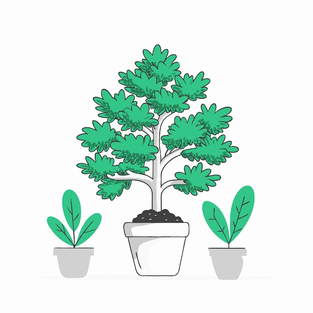 Houseplant concept illustration