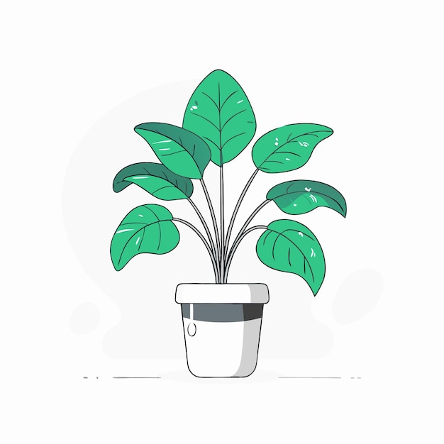 Houseplant concept illustration