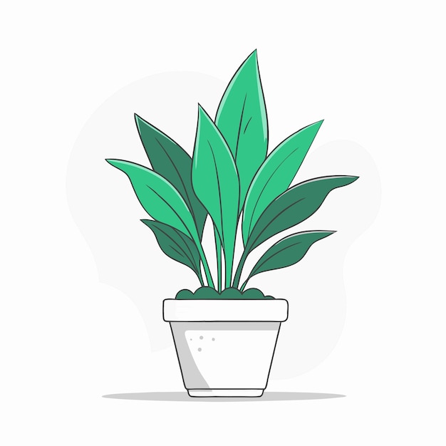 Houseplant concept illustration