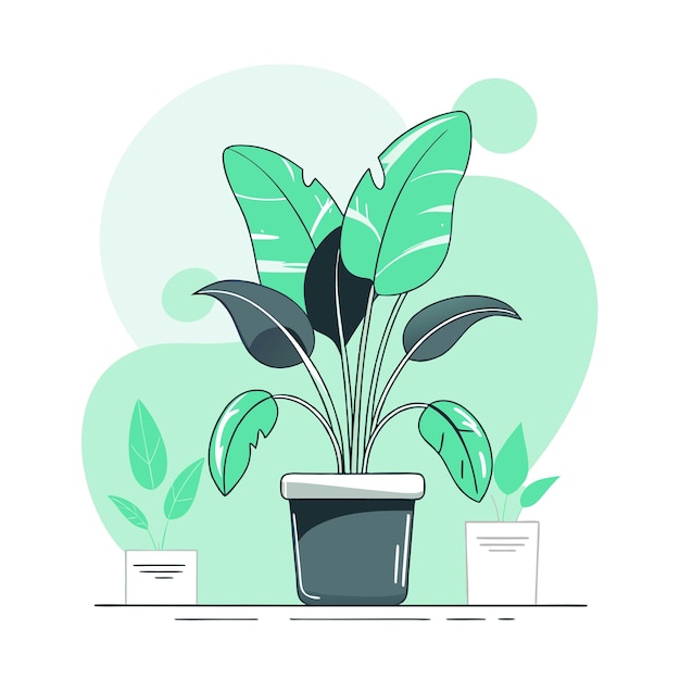 Houseplant concept illustration