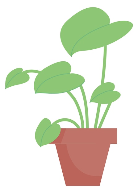 Houseplant in flowerpot Green plant House decoration icon