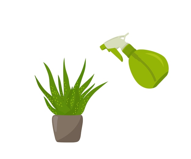 Houseplant and green sprayer for flowers