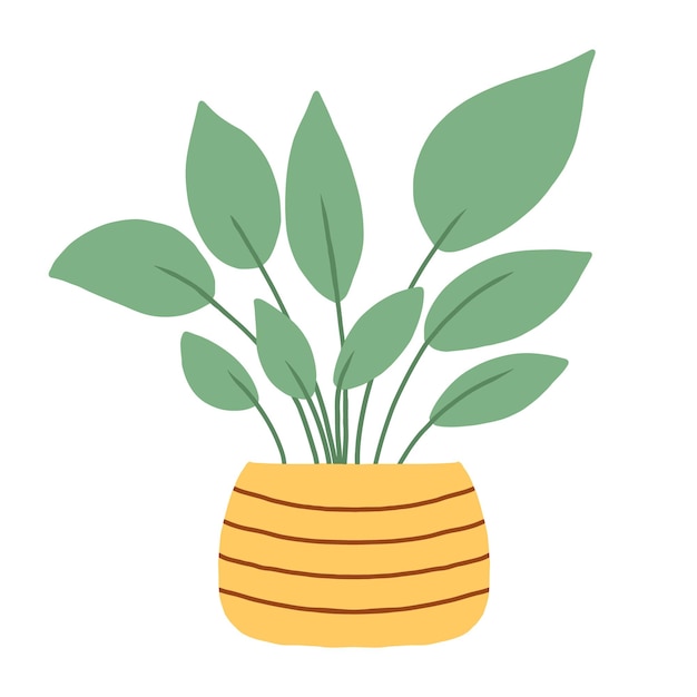 Houseplant in a pot Cute houseplant in a yellow pot Beautiful plant with green leaves Vector illustration in hand drawn style Vector illustration