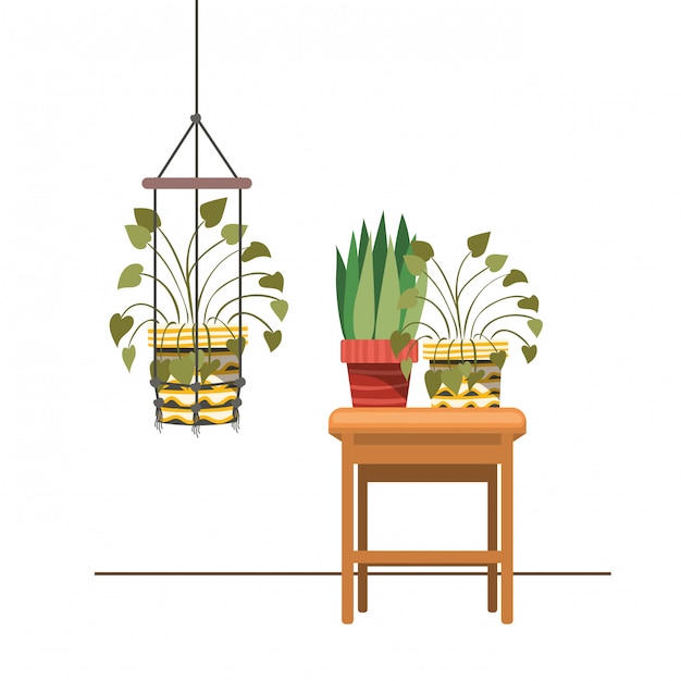 Vector houseplants on macrame hangers and table