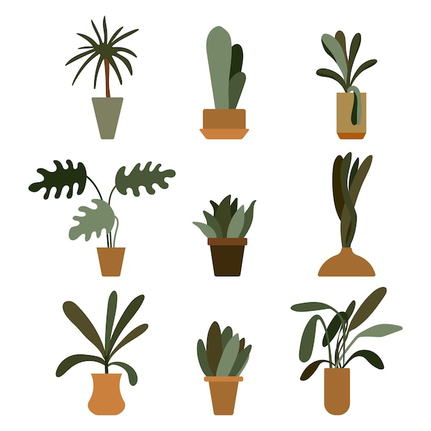 Houseplants in pot vector cartoon set isolated on a white background