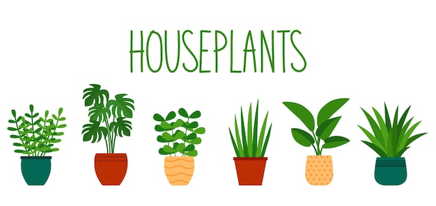 Houseplants in pots in flat style and hand lettering, vector illustration