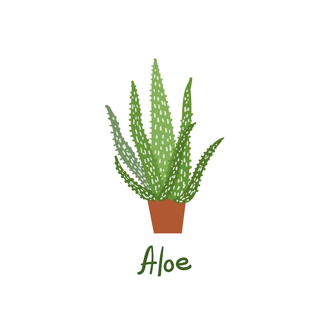 Houseplants vector illustrations Urban jungls Plants are friends