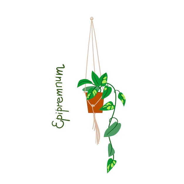 Houseplants vector illustrations Urban jungls Plants are friends