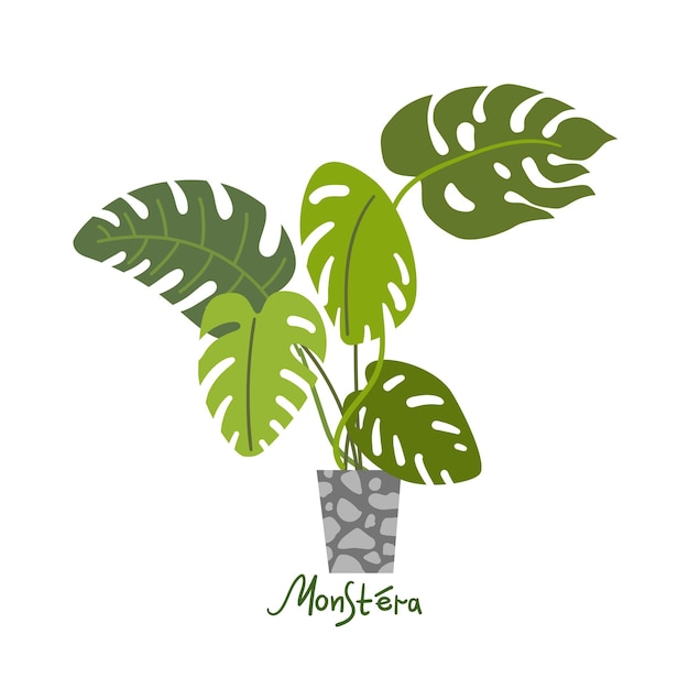 Houseplants vector illustrations Urban jungls Plants are friends