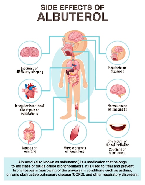 Human anatomy diagram cartoon style of albuterol side effects