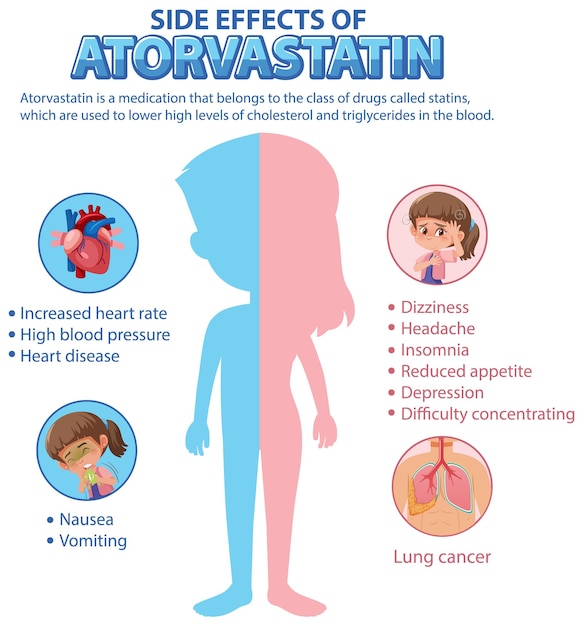 Human anatomy diagram cartoon style of Atorvastatin side effects