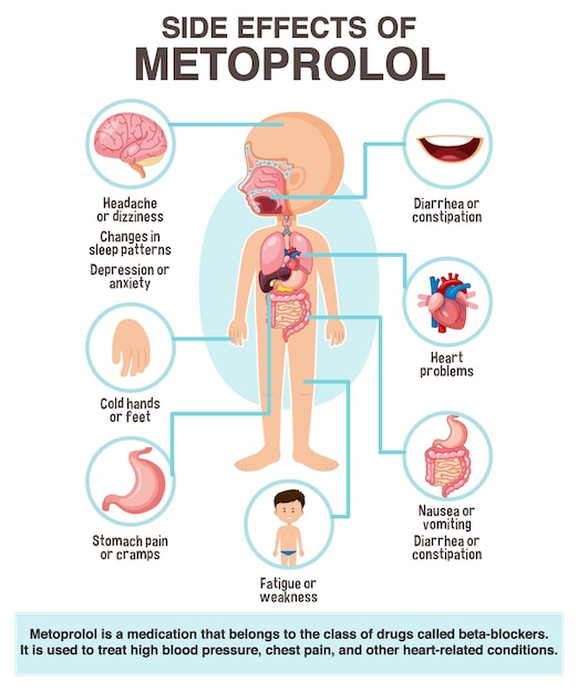 Human anatomy diagram cartoon style of metoprolol side effects