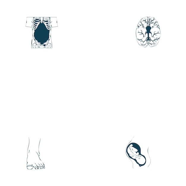 Human Body Parts Vectors Set