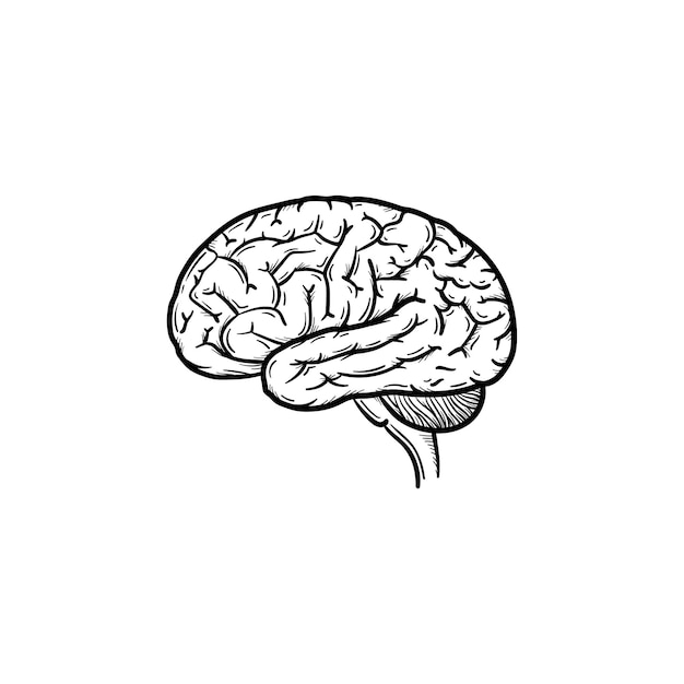 Human brain hand drawn outline doodle icon. Brain as a concept of intelligence, smart way thinking.