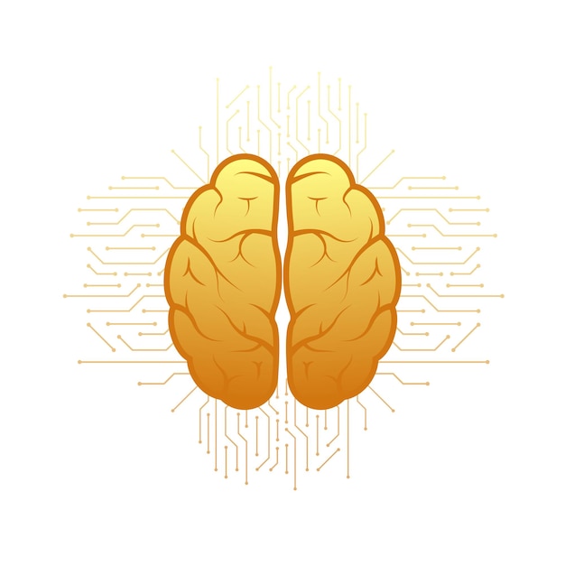 Human brain medical Internal organ Neural network Brainstorming idea