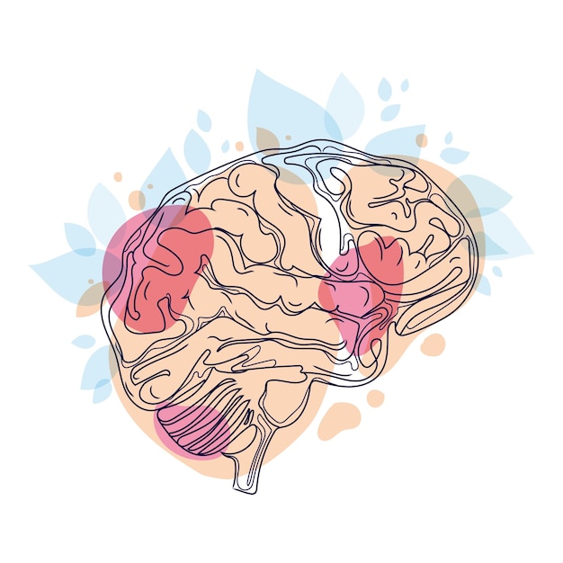 Human brain Minimal art line drawing vector illustration.Brain with colored abstract shapes