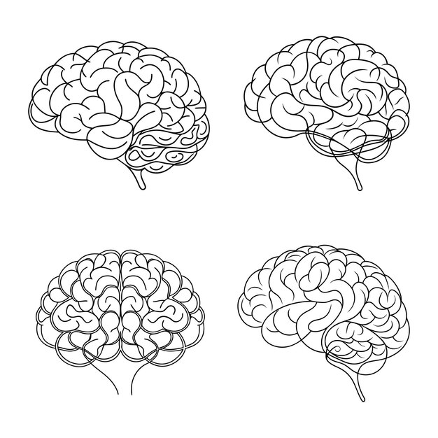 Vector human brain single line art design vector illustration minimalist and modern brain art vector