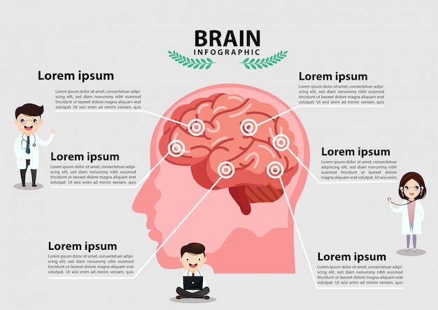 Human brain stroke .