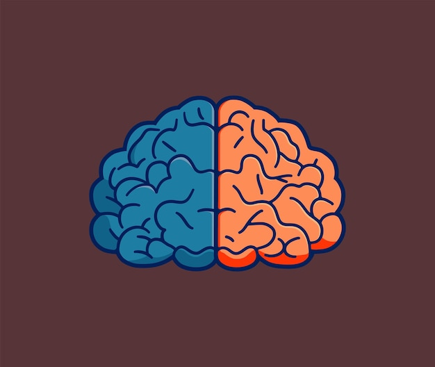 Human brain vector Illustration