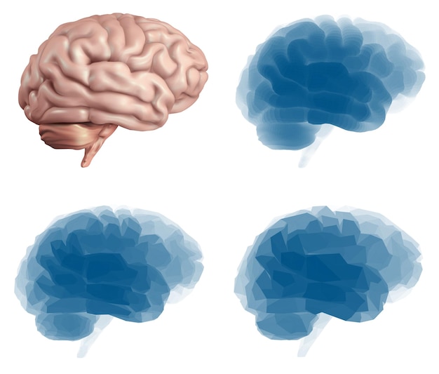 Human brain Vector set in different styles meshe