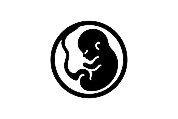 Vector human embryo prenatal human child with placenta silhouette