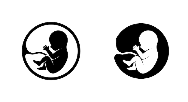 Human embryo on a white background. Pregnancy icon. Medical genetics sign. Obstetrics symbol. Extra corporal fertilization. Copy space. Vector illustration