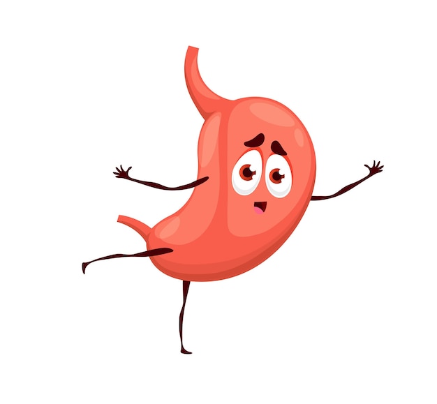 Human funny cartoon stomach character isolated vector mascot of anatomy science Cute organ of healthy digestive system happy stomach emoji with esophagus having fun and dancing gastroenterology