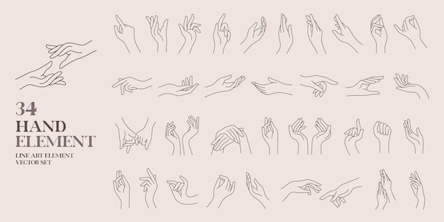 Vector human hand line art element vector illustration set  boho vintage style