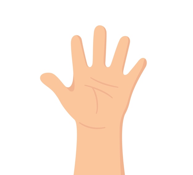 Human hand with five fingers The palm is like a sense organ Part of the body The organ of touch