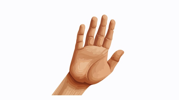 a human hand with the palm open and the word  hand  on the top