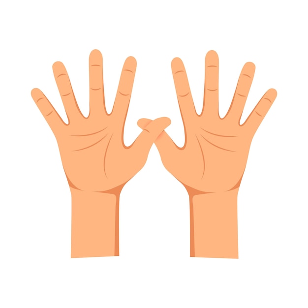 Human hands palm up isolated on white background. Various hand gesture. Vector illustration.