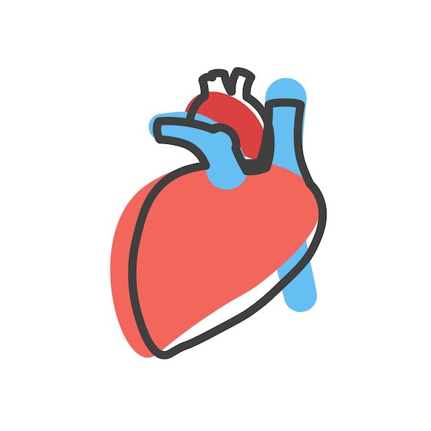 Human heart linear icon Internal organ Cardiology concept Vector illustration